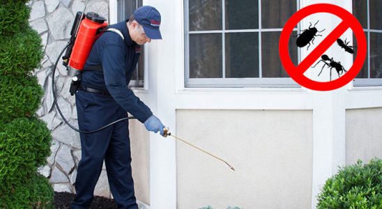 Yunak Kemirgen İlaçlama böcek ilaçlama ve haşere kontrolü — ilaclama-tr.com